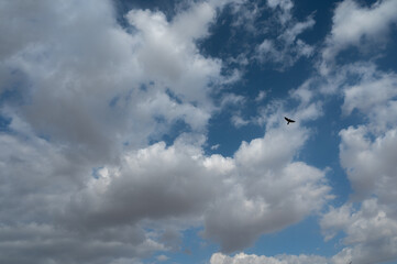 White clouds in blue sky with a bird flying