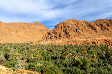 Photo of the Tinghir palm grove. View of the city and all the palm trees between the rocky mountains. Sunny day.