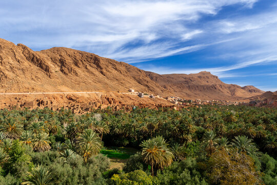 Photo of the Tinghir palm grove. View of the city and all the palm trees between the rocky mountains. Sunny day.
