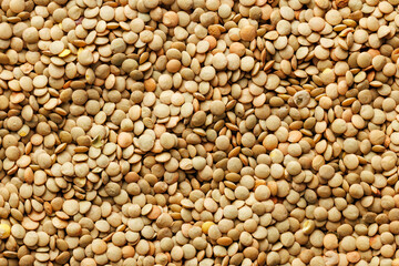 Uncooked lentil legumes. Top view.