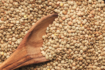 Uncooked lentil legumes in wooden spoon. Top view.
