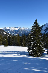 Fototapeta na wymiar Beautiful sun and view with snow in Obermaiselstein | Allgäu | Germany