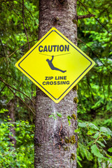 Zip Line Crossing Sign Nailed to Tree in Forest