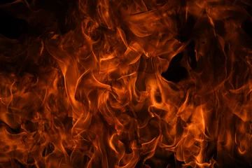 Fotobehang Flame fires. Burn lights on a black background. Fire flames on black background. Abstract fire flame background. © Volodymyr