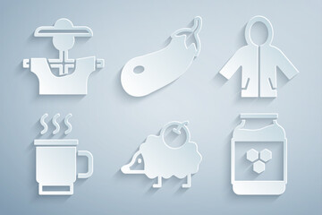 Set Hedgehog, Raincoat, Cup of tea, Jar honey, Eggplant and Scarecrow icon. Vector