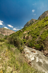 Chegem gorge on a sunny summer day. Caucasus. Kabardino-Balkaria.