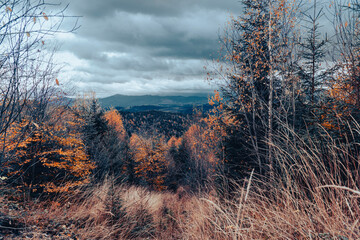 autumn landscape of the Carpathian mountains