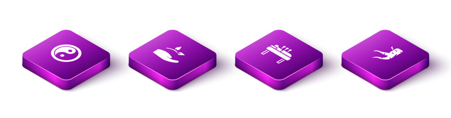 Set Isometric Yin Yang, Leaf hand, Acupuncture therapy and Ginger root icon. Vector