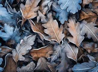 Nice macro autumn colorful leaves frosted with ice, cold weather, natural leaves pattern