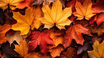 a pile of orange and yellow leaves