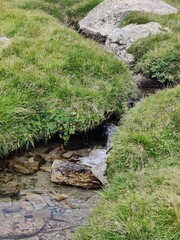 Obraz premium stream in the forest Panoramabrücke Austria