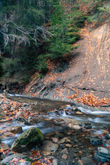 Mountain river in the Carpathian mountains in the autumn season