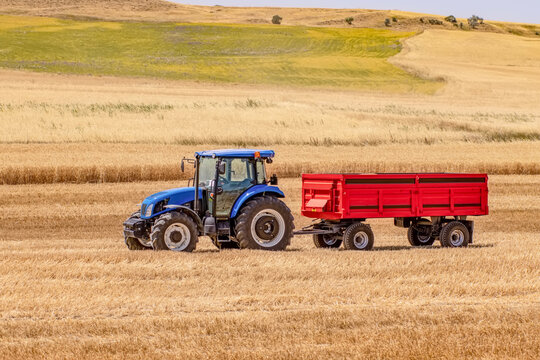 Harvest aerial landscape of combine harvester cutting summer wheat field crop with tractor trailer and blue sky on farm