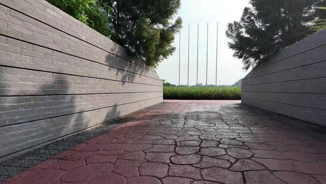 road street garden plant leaf nature environment blue sky background moving park travel trip tourism aerial view winter spring summer beautiful autumn flower season slow motion flim grass location 