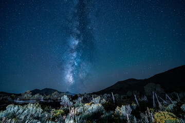 Milky Way above an old cattle fence and desert plants