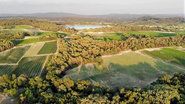 Aerial Mediterranean landscape with cypresses, olive trees, vineyards and Pond of Bonde in Provence, Southern France