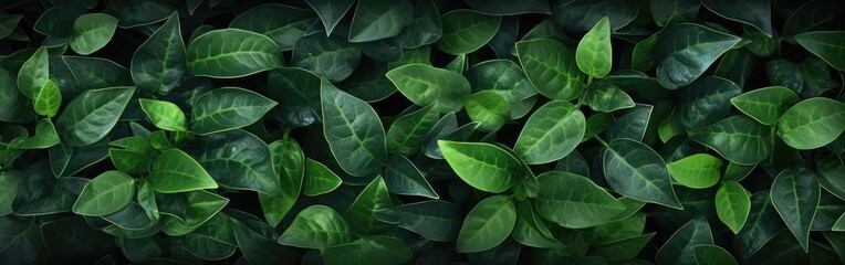 Green leaves background