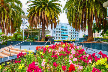 Colorful flowers in marble planter leading to bright Union Square Pride with palm trees on vibrant...