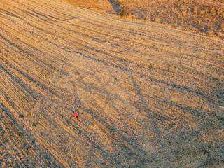 farmland, agriculture field, countryside, Kütahya