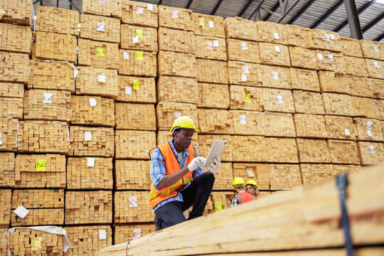 Efficient Workflow, Timber Yard Workers Measuring and Verifying Stock