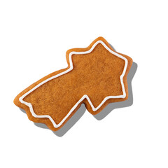 Decorated gingerbread star isolated on white background