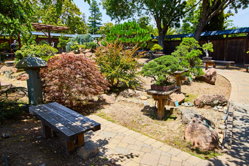 Bonsai trees and plants along brick stone path in Japanese styled garden at Lake Merritt