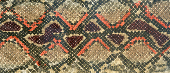 Snake skin leather textured reptile print. Pyton animal leather background.