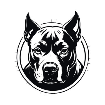 Vector illustration of a pit bull. Staffordshire terrier. Sticker, t-shirt print, sticker. Black and white drawing on white background.