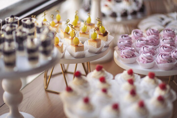 Closeup of many small cakes, sweets, fruits served on plate for cocktail party or shelves of store....