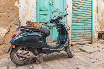 Cat napping on a scooter near the Tunis Souk.
