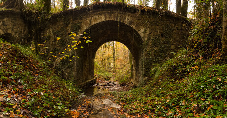 Old bridge with stream in late fall forest - obrazy, fototapety, plakaty