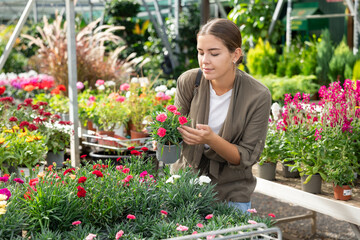 In flower mega market, young landscape designer girl view contemplate and examines dianthus plants...