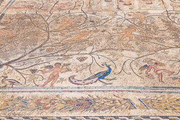 Obraz premium Roman mosaic floor with a peacock and cherubs at the Uthina Archaeological Site.