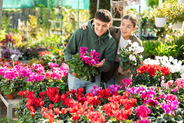 Couple of young guy and young woman buyers choose cyclamen in pot in flower shop