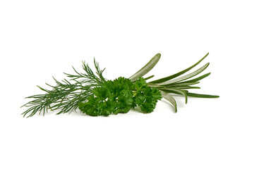 Fresh spices and herbs, rosemary, dill, isolated on white background.