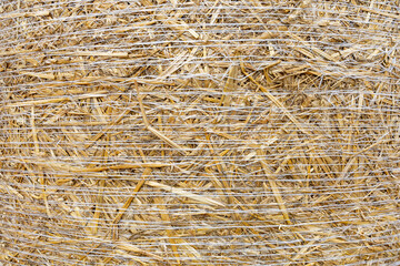 Hay Texture Background, Straw Pattern, Dry Golden Grass Mockup, Dry Baled Hay Bales Stacks Banner