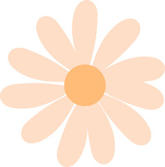 Chamomile Flower Head