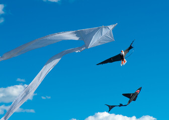Fototapeta na wymiar Kites In Flight