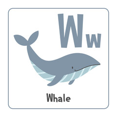 Whale clipart. Whale vector illustration cartoon flat style. Animals start with letter W. Animal alphabet card. Learning letter W card. Kids education. Cute blue whale vector design