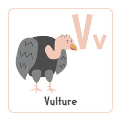 Vulture clipart. Vulture vector illustration cartoon flat style. Animals start with letter V. Animal alphabet card. Learning letter V card. Kids education. Cute vulture vector design