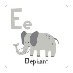 Elephant clipart. Elephant vector illustration cartoon flat style. Animals start with letter E. Animal alphabet card. Learning letter E card. Kids education. Cute elephant vector design