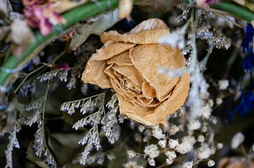 A bouquet that dries but still retains its beauty.