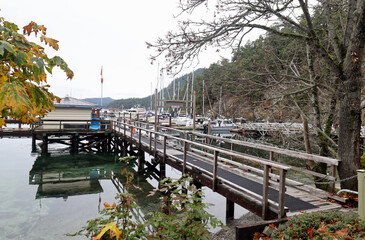 Autumn colors of marina with wooden pier