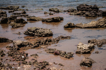 Rocks in the basin of the sea.