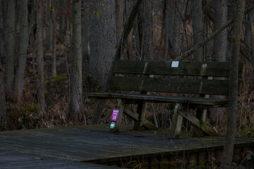 wooden footpath and a bench in the forest
