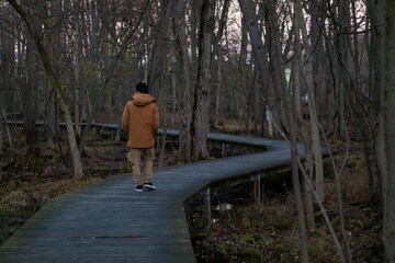person walking in the woods