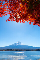 富士山と紅葉　河口湖
