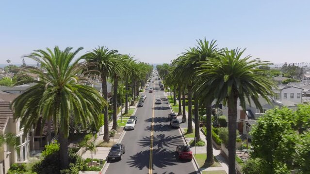Drone flying over Newport Beach road with traffic, Corona Del Mar, California, West Coast, USA. Residential houses and private villas with tall palm trees. Long avenue stretching to Laguna Beach