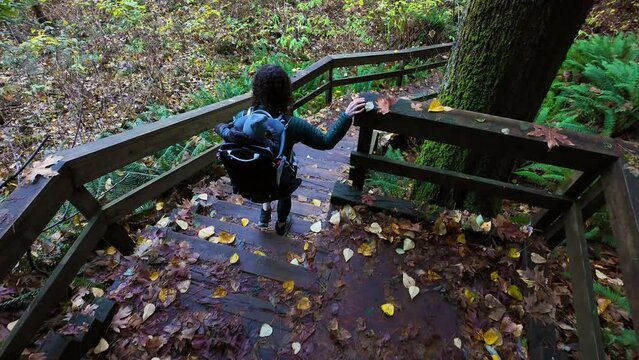 Mother Hiking Down Stairs with Baby in Backpack Carrier in Canadian Nature. Sunny Fall Day, Forest. Lynn Valley, North Vancouver, BC Canada. High quality 4k footage