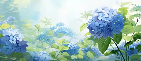 Poster In the midst of a flourishing garden, a delicate Hydrangea with vibrant green leaves and beautiful blue petals blooms, enhancing the natural beauty of the floral scenery. © 2rogan